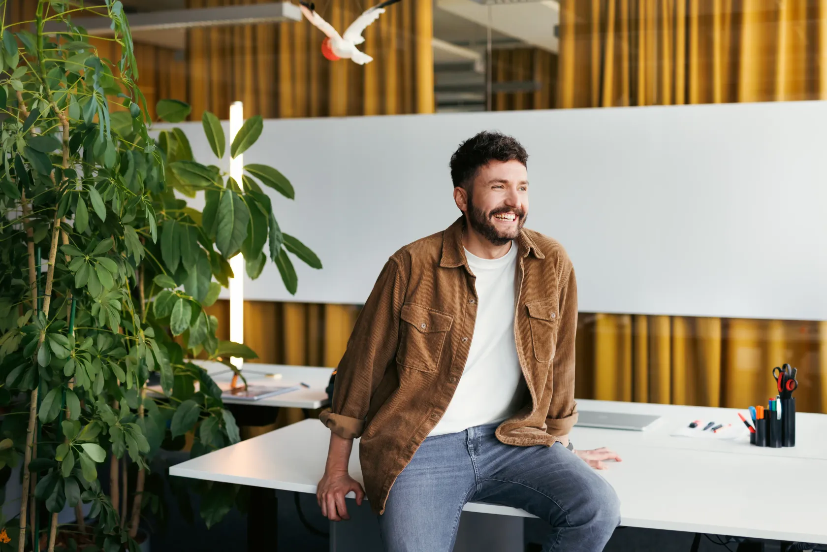 Cheerful male colleague in relaxed atmosphere